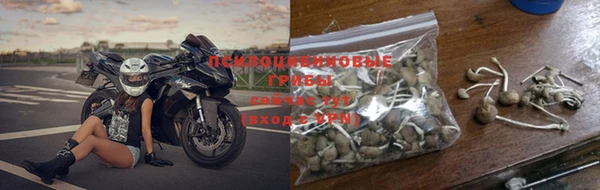 мет Богданович