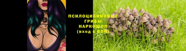 мет Богданович