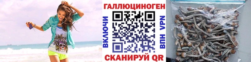 Псилоцибиновые грибы Psilocybe  Красновишерск 